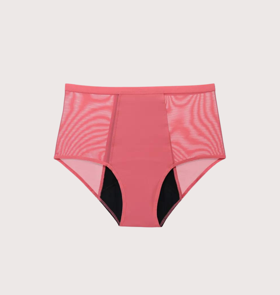 Lace Brief - Moderate Urine Leakage - Sale